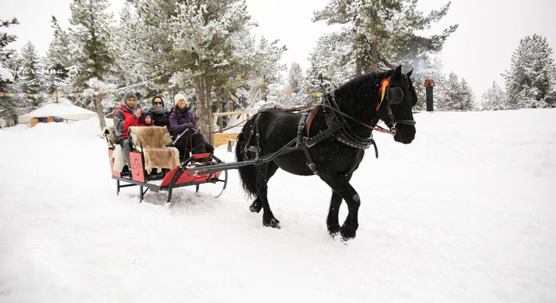 Traineau à cheval "Carrousel des Neiges" Angaka